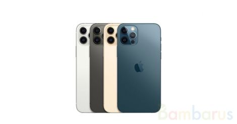 Оригинальный Смартфон Apple iPhone 12 Pro Max 128GB,  Silver(Cеребристый )
